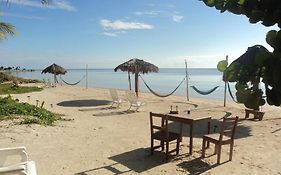 Ecological Hotel Maya Luna